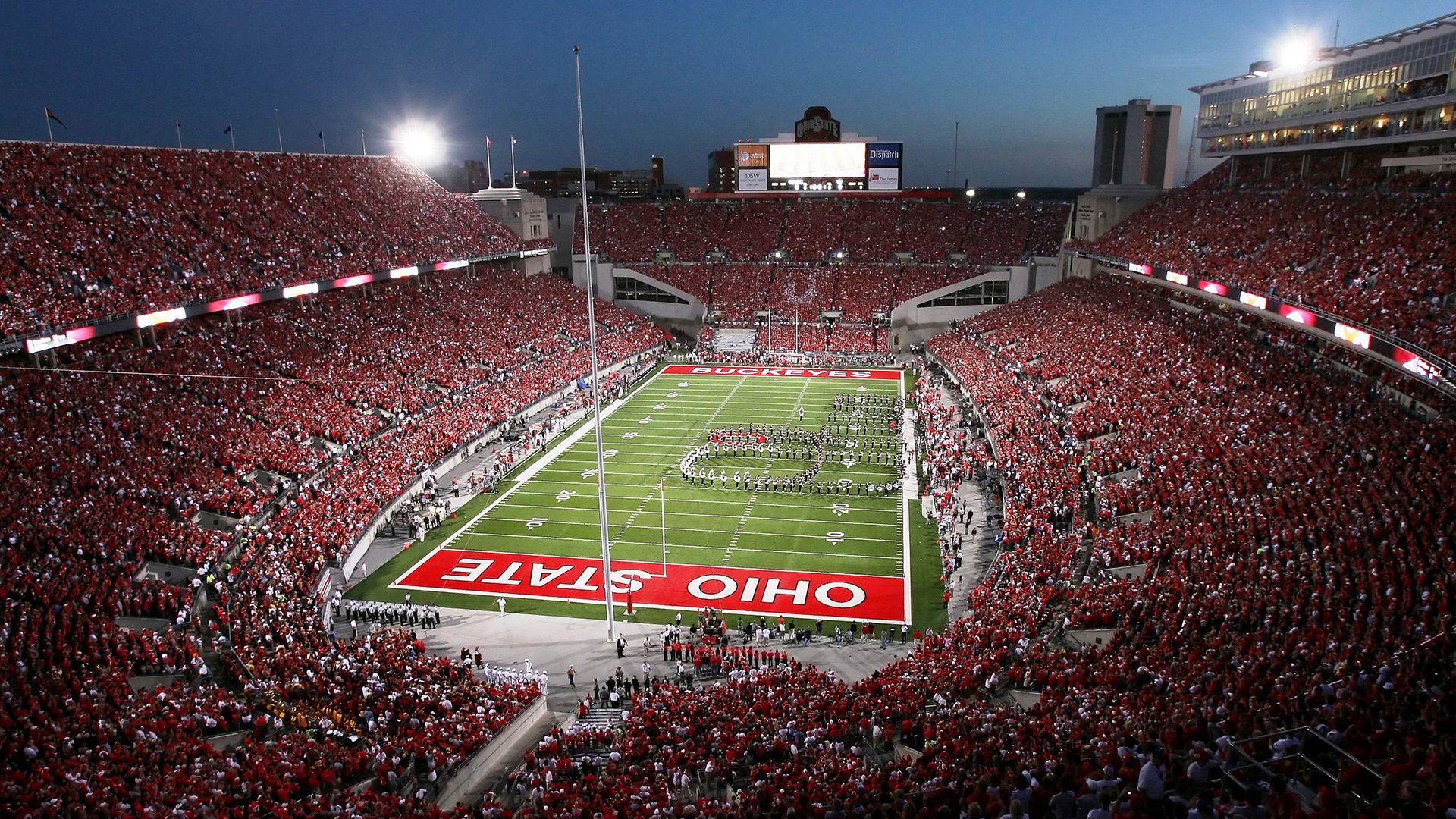 塔特发挥稳定,袋鼠队的中场核心始终如一,塔城袋鼠